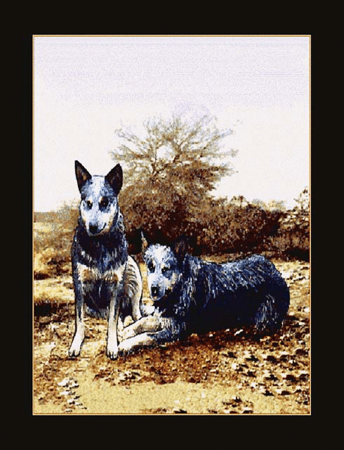 Blue Heeler Tapestry